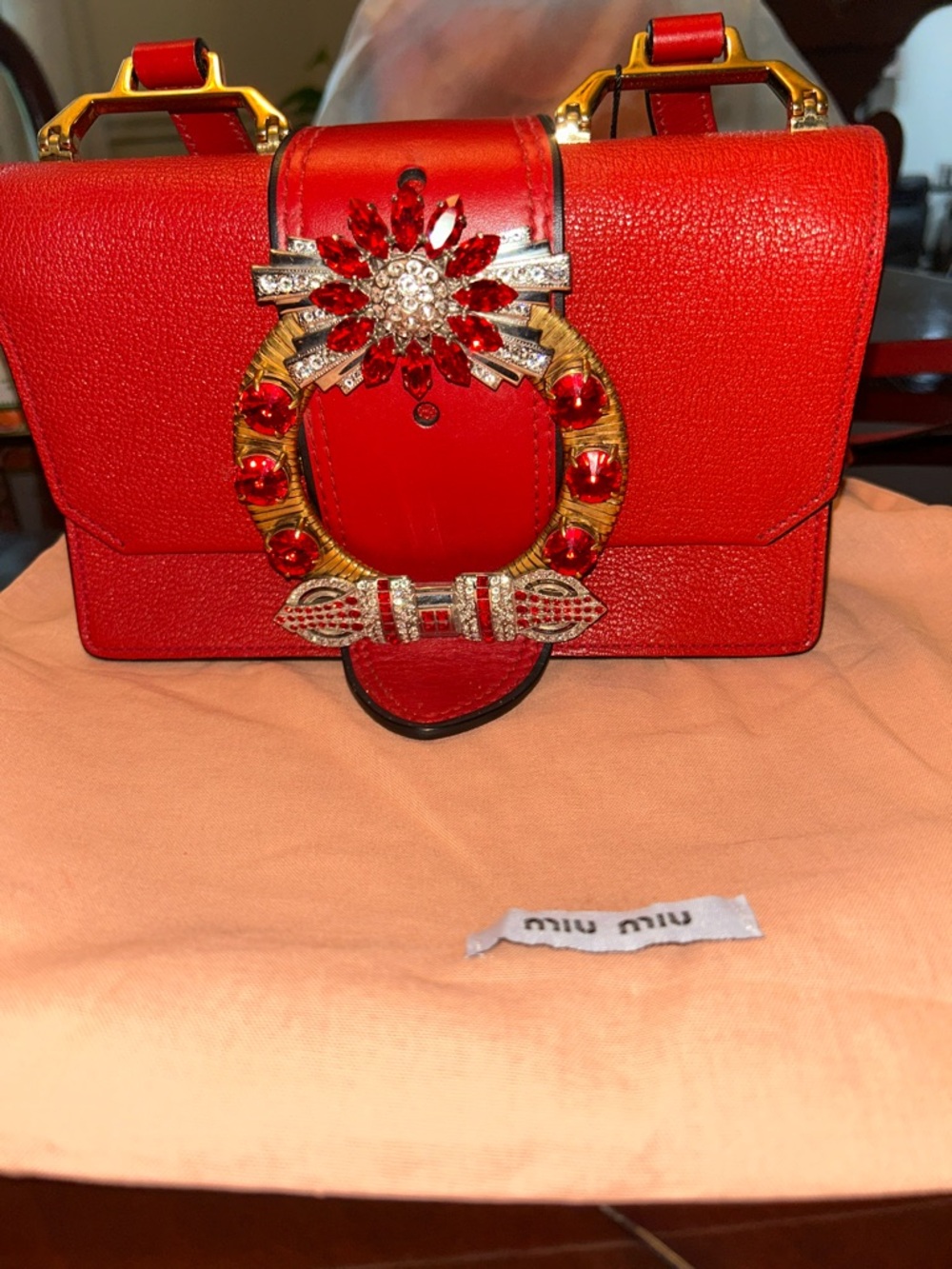 Miu Miu Red Embellished Crossbody Bag - Picture 9 of 9
